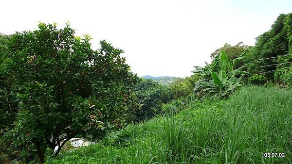 P1420150.JPG