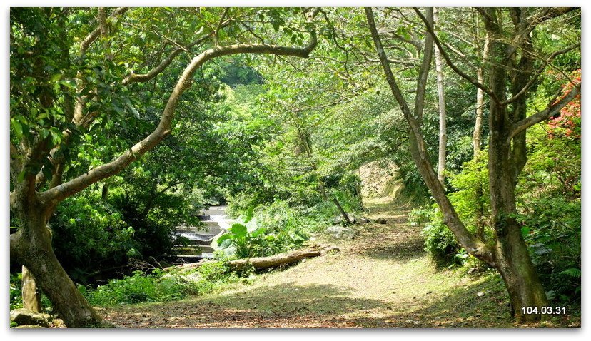 DSCF0175.JPG