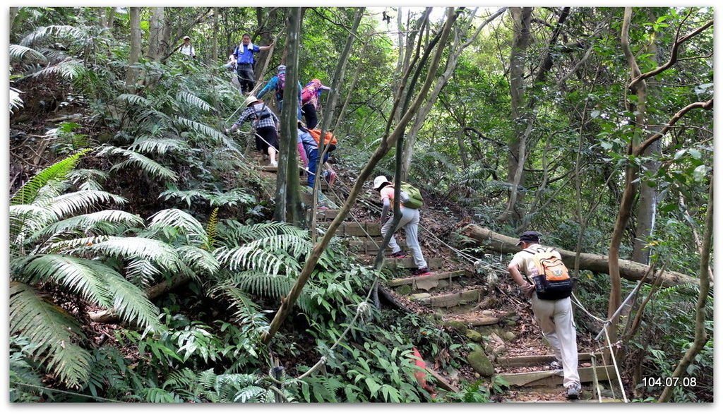 新北林口 新林步道、竹林山觀音寺  