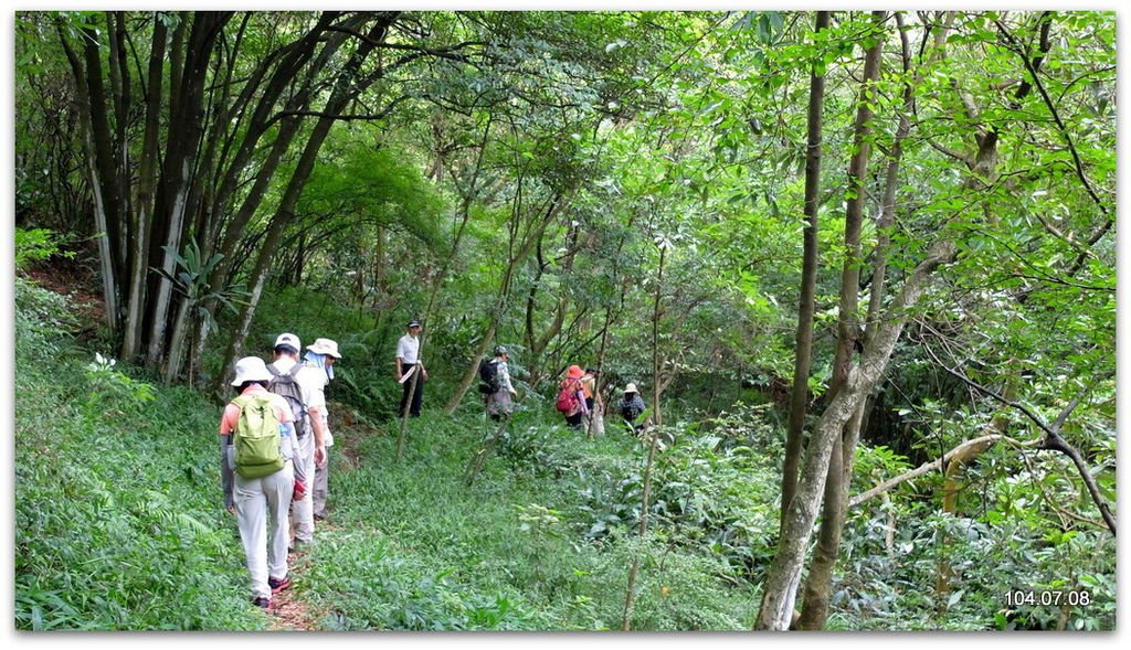 新北林口 新林步道、竹林山觀音寺  