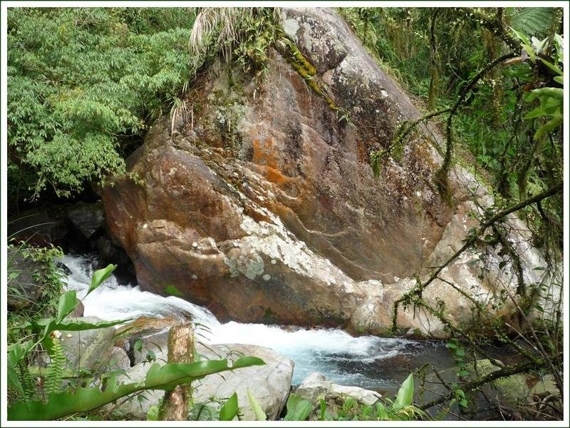 松羅步道_23.JPG