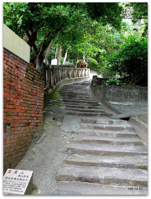 DSCF1017.JPG