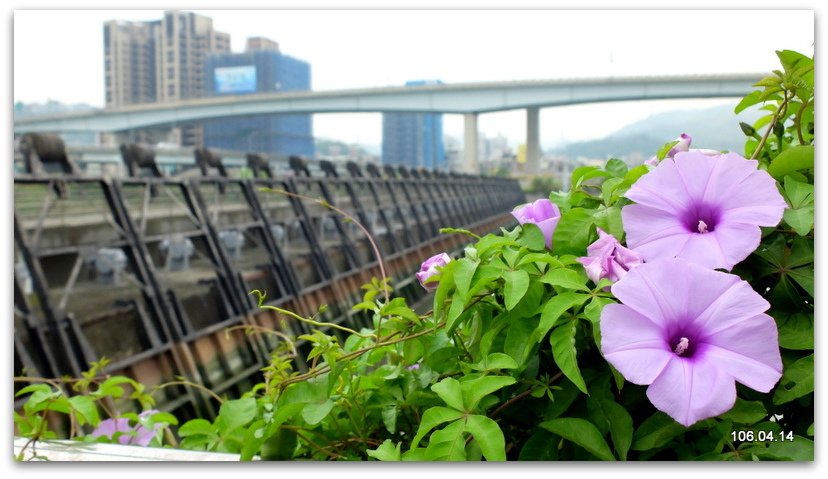 DSCF1083.JPG