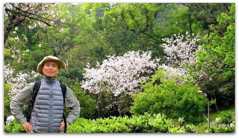 陽明山花季 賞花半日遊  (+40砲陣地)