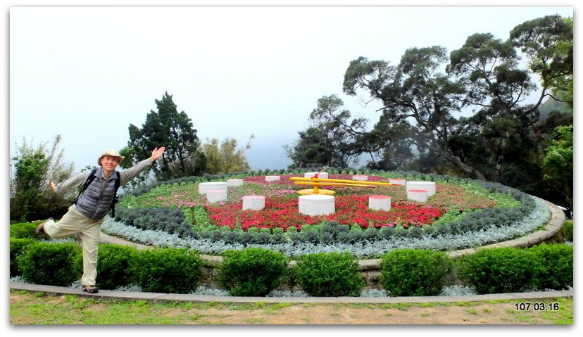 陽明山花季 賞花半日遊  (+40砲陣地)