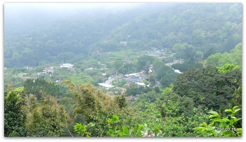 陽明山花季 賞花半日遊  (+40砲陣地)