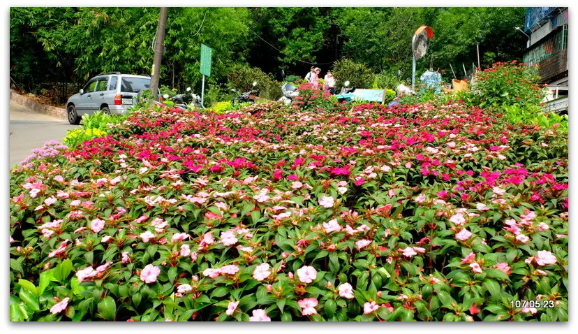 DSCF2012.JPG