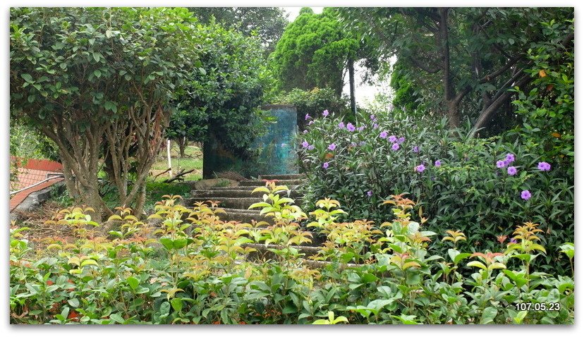 DSCF2066.JPG