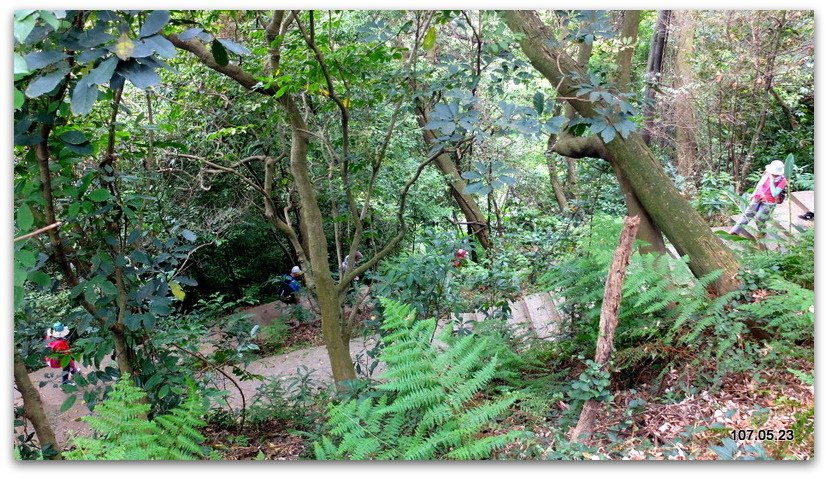 DSCF2089.JPG