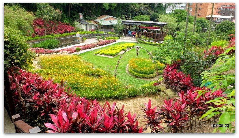 DSCF2101.JPG