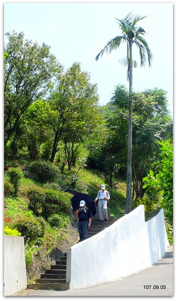 DSCF2095.JPG