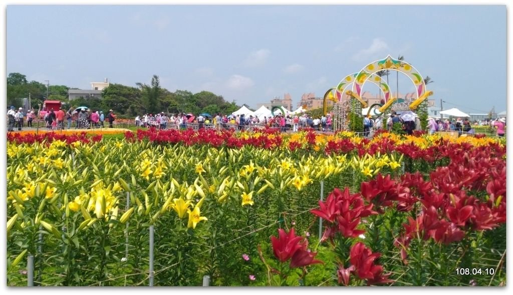 桃園一日遊- - -彩色海芋季+青塘園