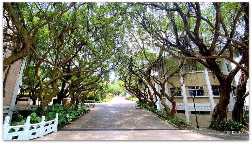 新北淡水 淡江大學之美