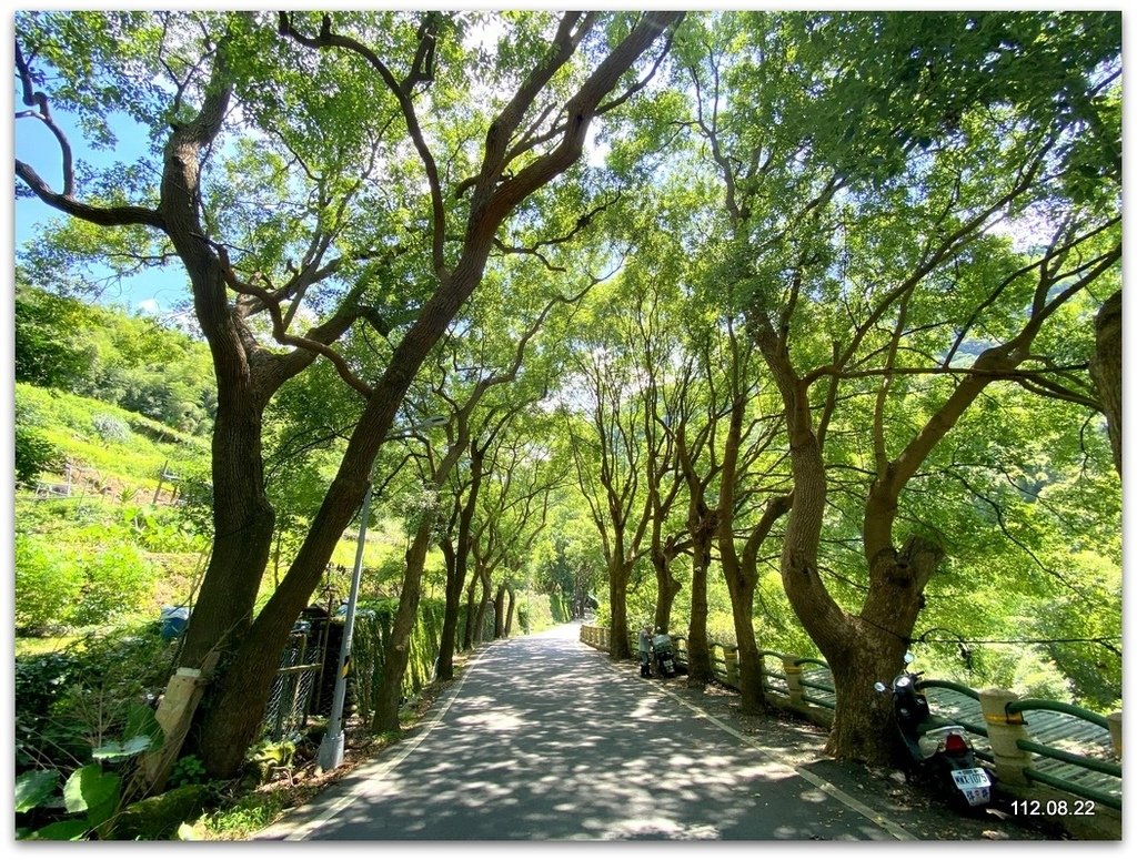 北投 半嶺水圳步道