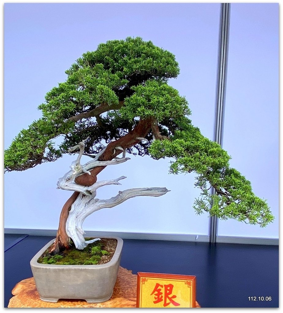 台北 士林官邸 漢風盆景展