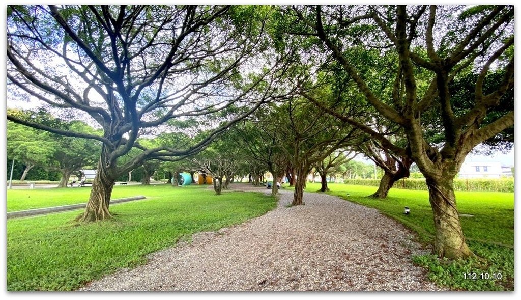 姑嫂樂遊台北 花博公園賞花草