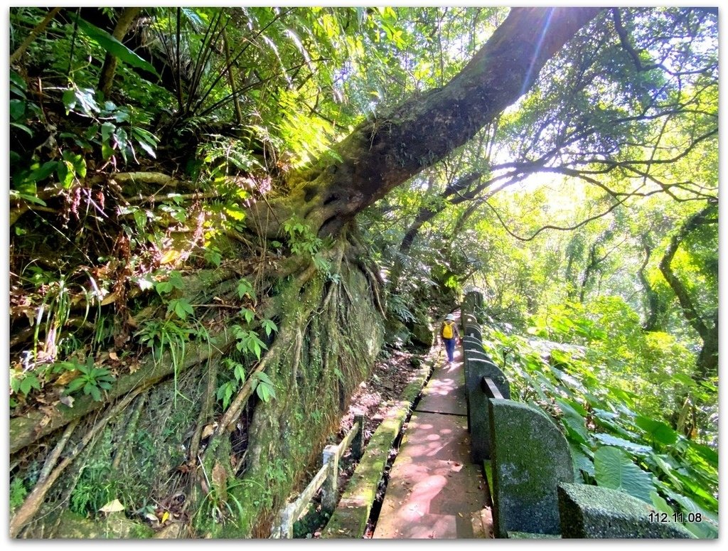 基隆 暖東峽谷 暖暖親水公園