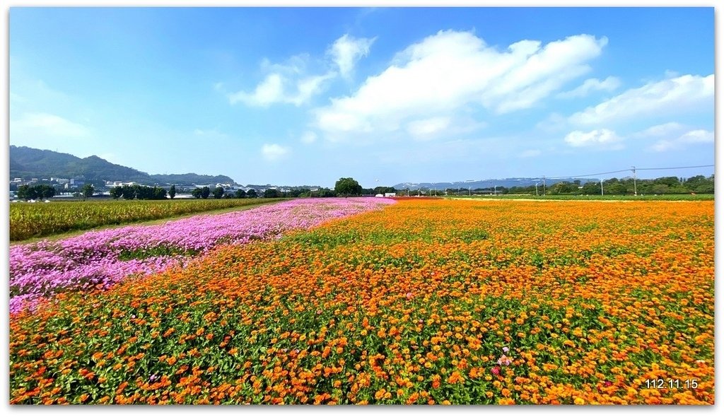 台中國際花毯節 新社花海+東勢鄉間即景