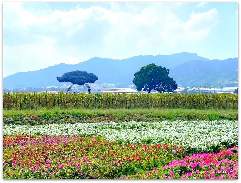 台中國際花毯節 新社花海+東勢鄉間即景