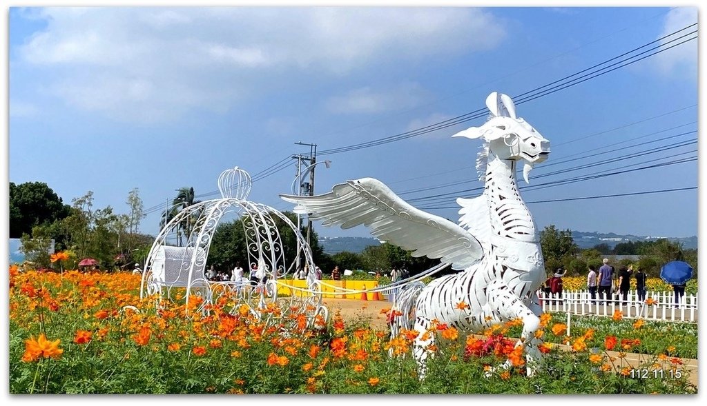 台中國際花毯節 新社花海+東勢鄉間即景