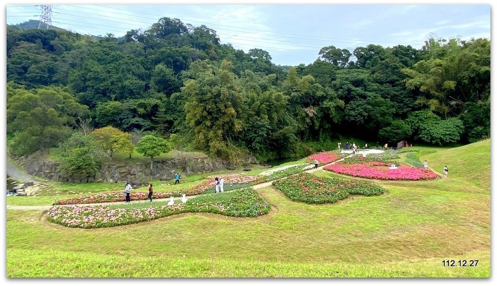 內湖 賞松、賞花、賞瀑去