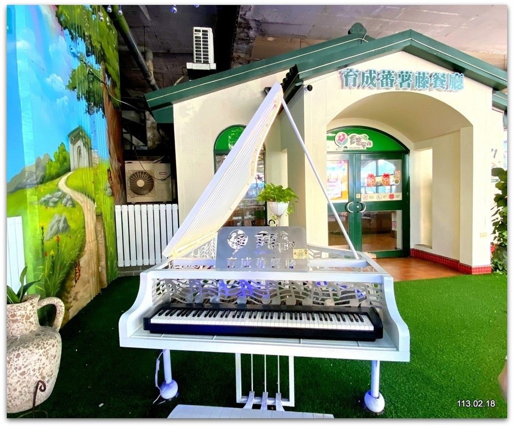 台北文山 樟樹步道 魯冰花海