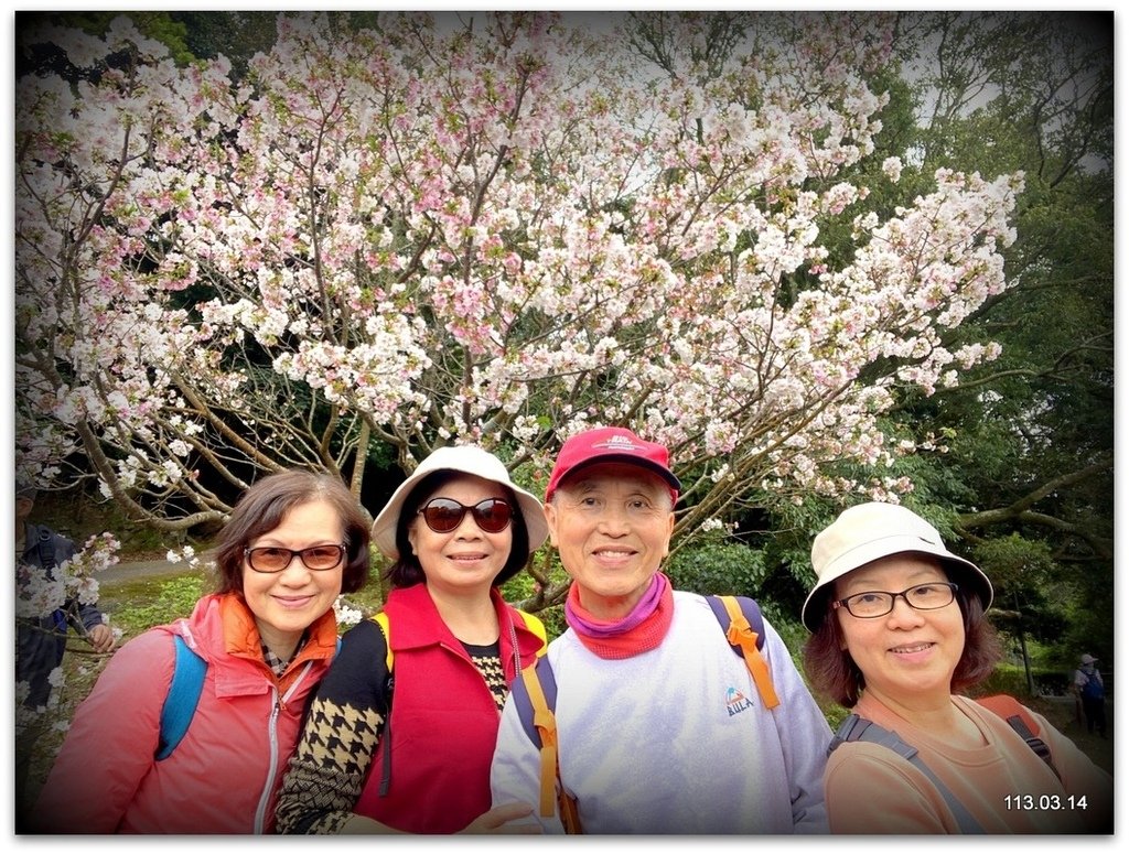 陽明山花季賞花去