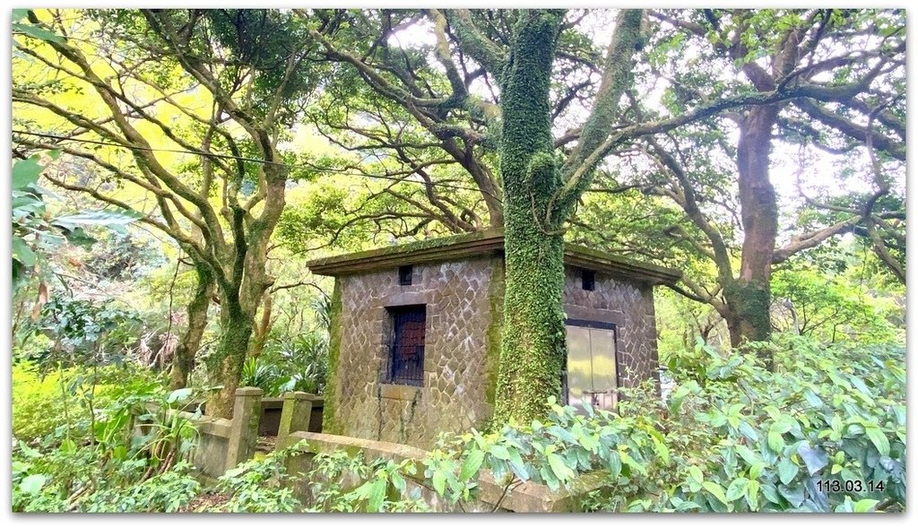 陽明山花季賞花去