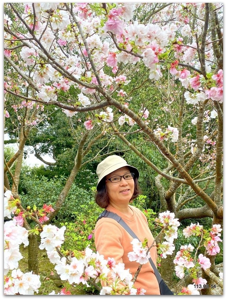 陽明山花季賞花去