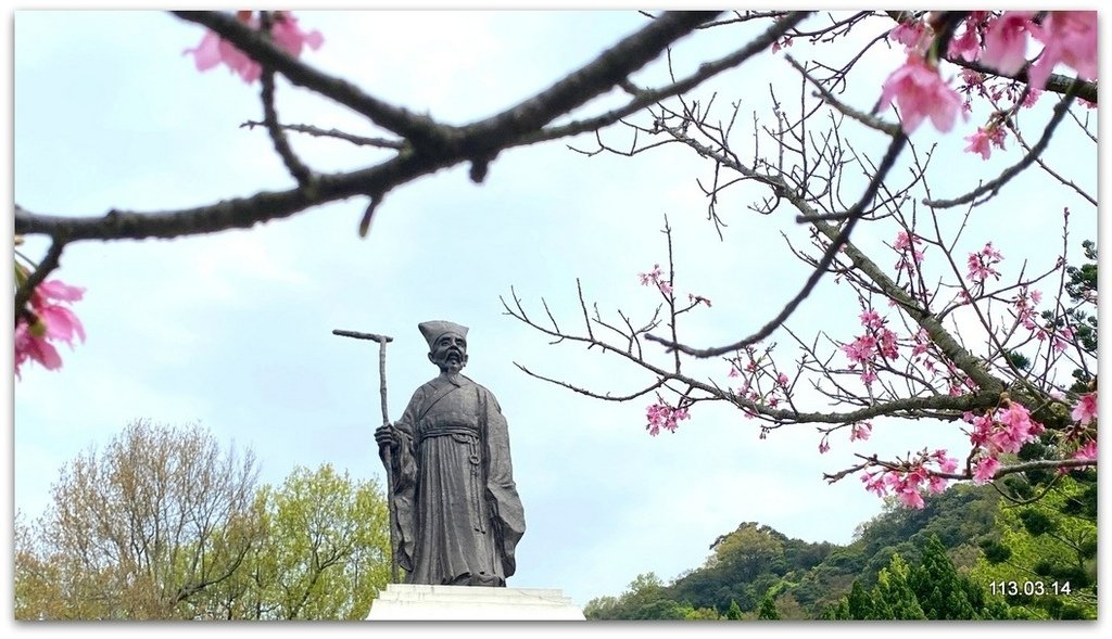 陽明山花季賞花去