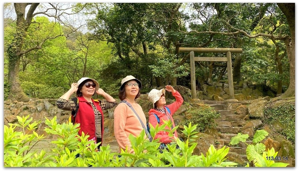 陽明山花季賞花去