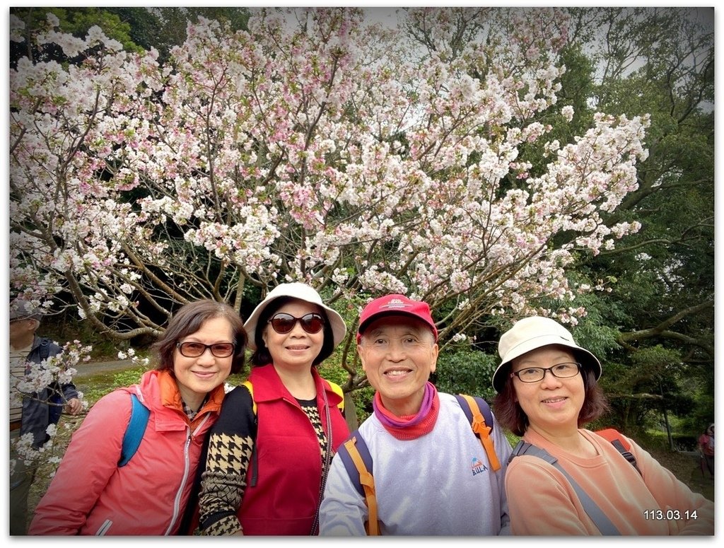 陽明山花季賞花去