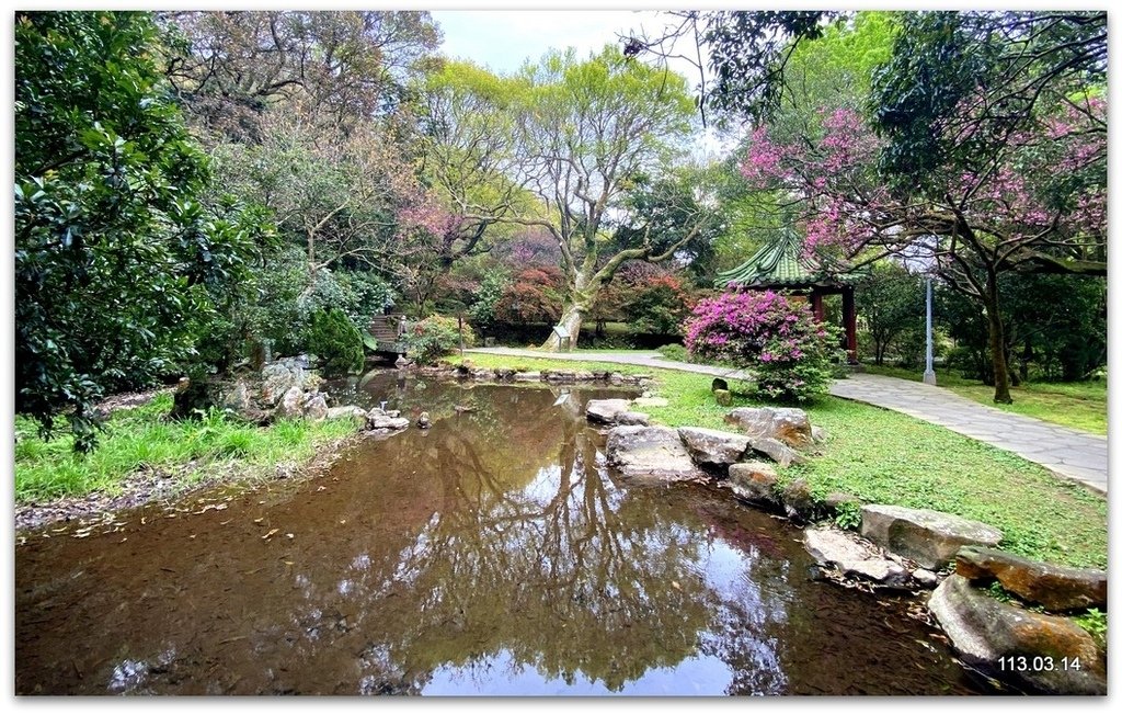 陽明山花季賞花去