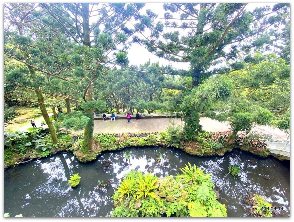 陽明山花季賞花去