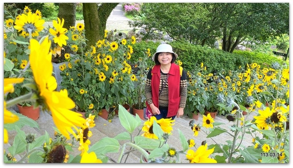 陽明山花季賞花去