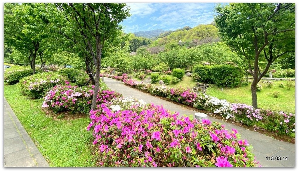 陽明山花季賞花去