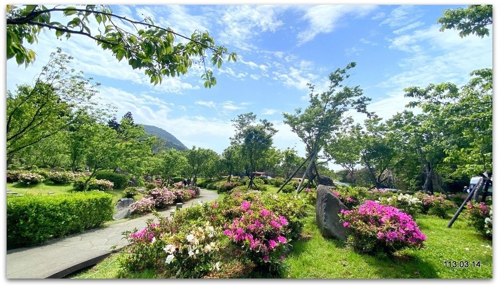 陽明山花季賞花去