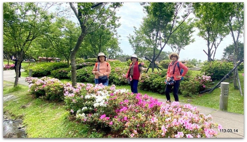 陽明山花季賞花去