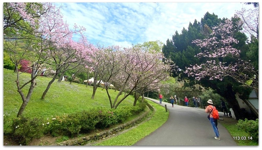 陽明山花季賞花去