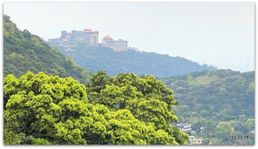 陽明山花季賞花去