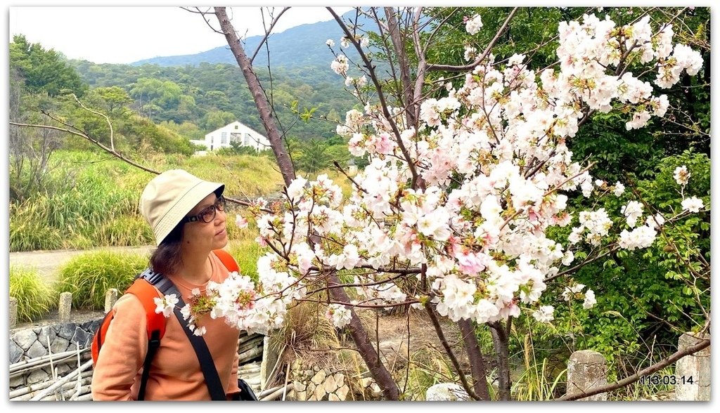 陽明山 中山樓