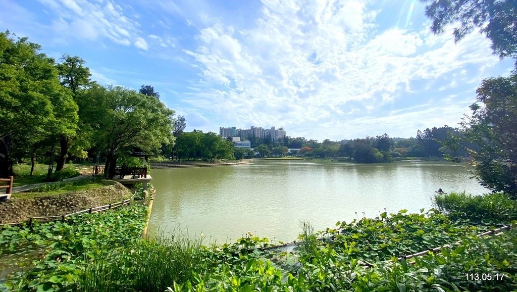 輕快漫步大學湖--- 成功湖、竹湖