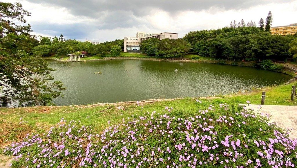 輕快漫步大學湖--- 成功湖、竹湖