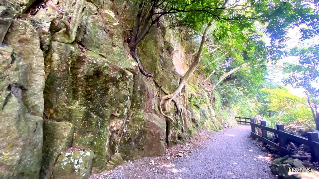 台北 天母古道之親山廊道