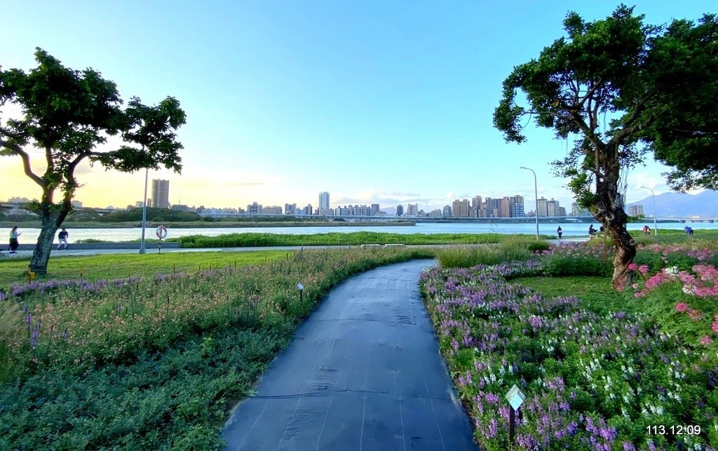 【台北】延平河濱公園 觀賞花海、夕陽
