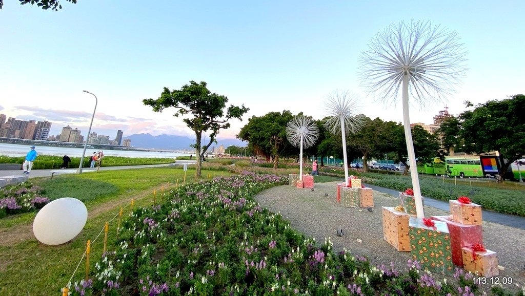 【台北】延平河濱公園 觀賞花海、夕陽