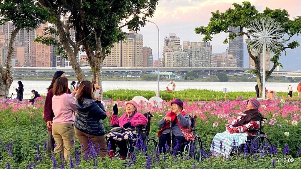 【台北】延平河濱公園 觀賞花海、夕陽