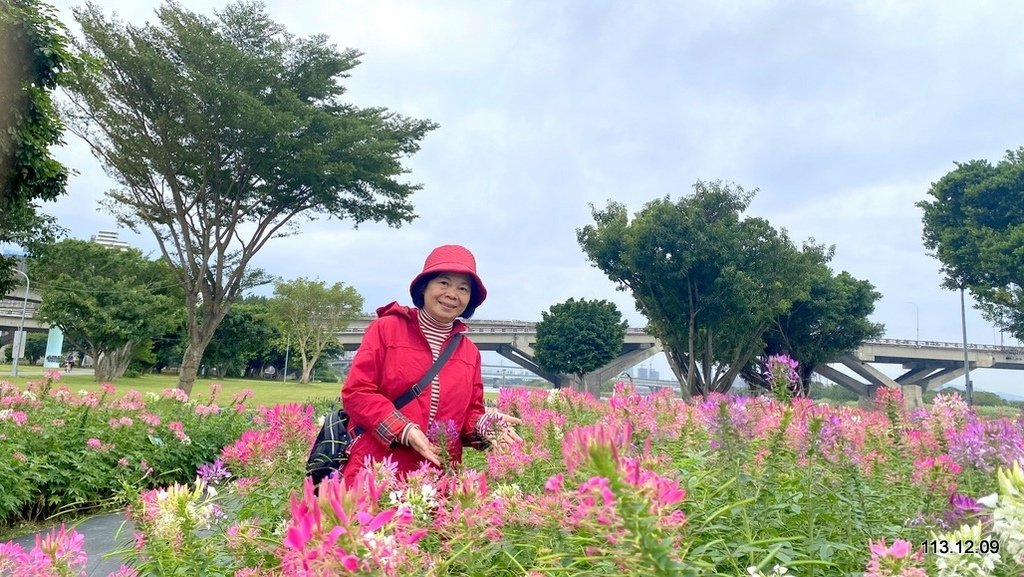 【台北】延平河濱公園 觀賞花海、夕陽