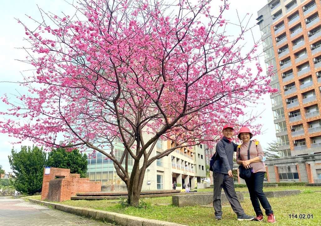 【新北】三峽遊 祖師廟、台北大學