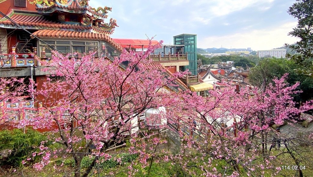 【桃園】龜山壽山巖 長庚養生文化村